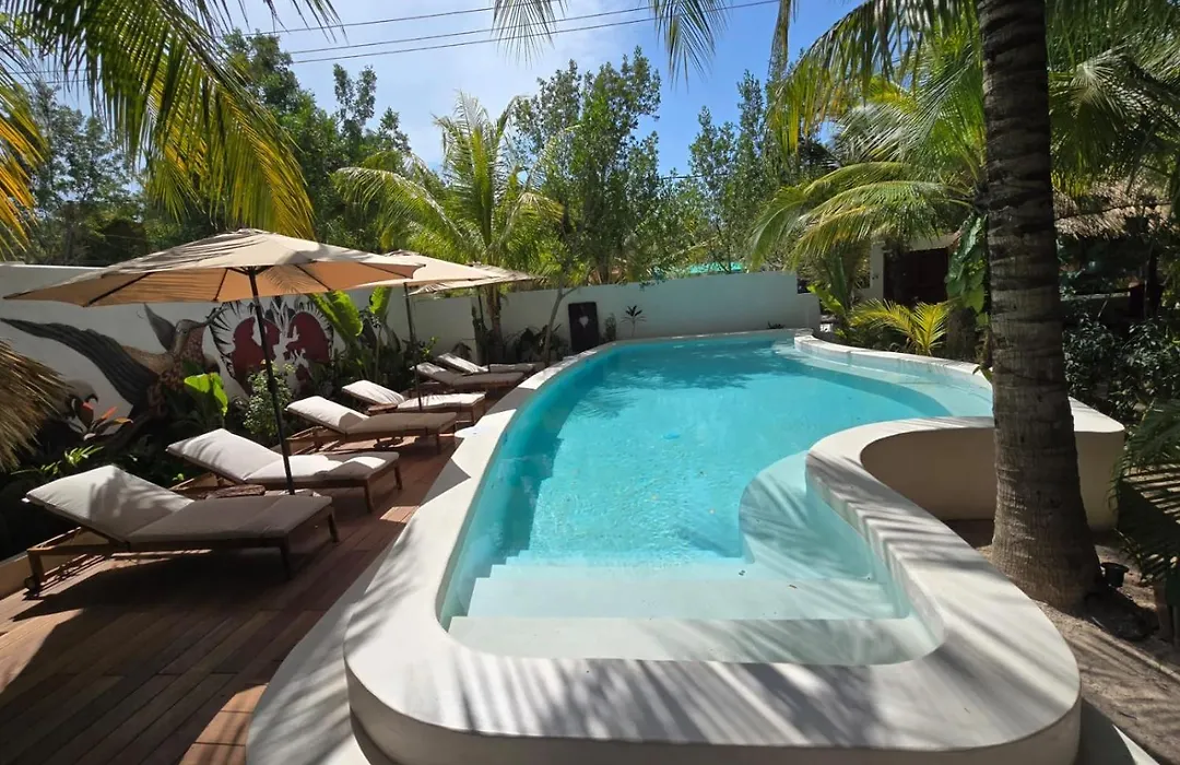 El Corazon Boutique Hotel - Adults Only With Pool & Beach Club Access-1